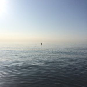 Meet your Posher, Beatrice